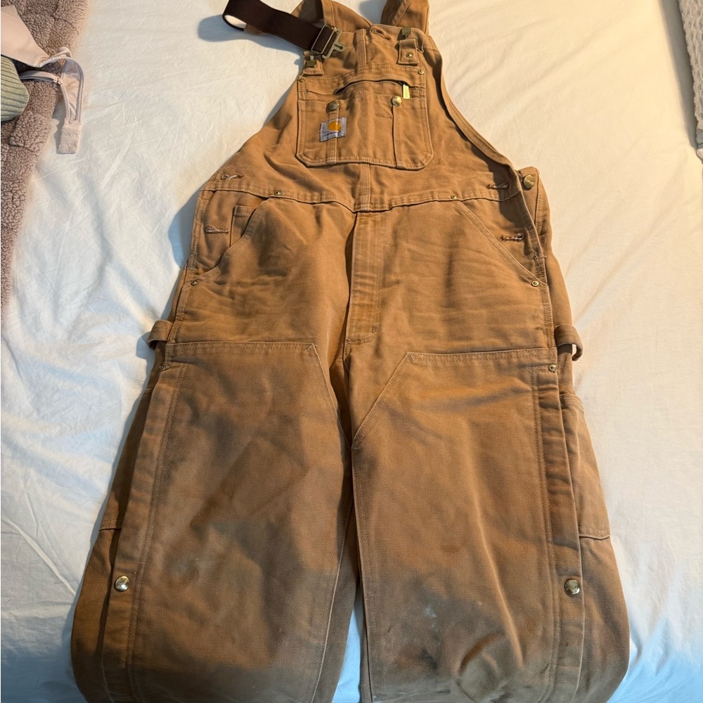 Carhartt Brown Men's Overalls